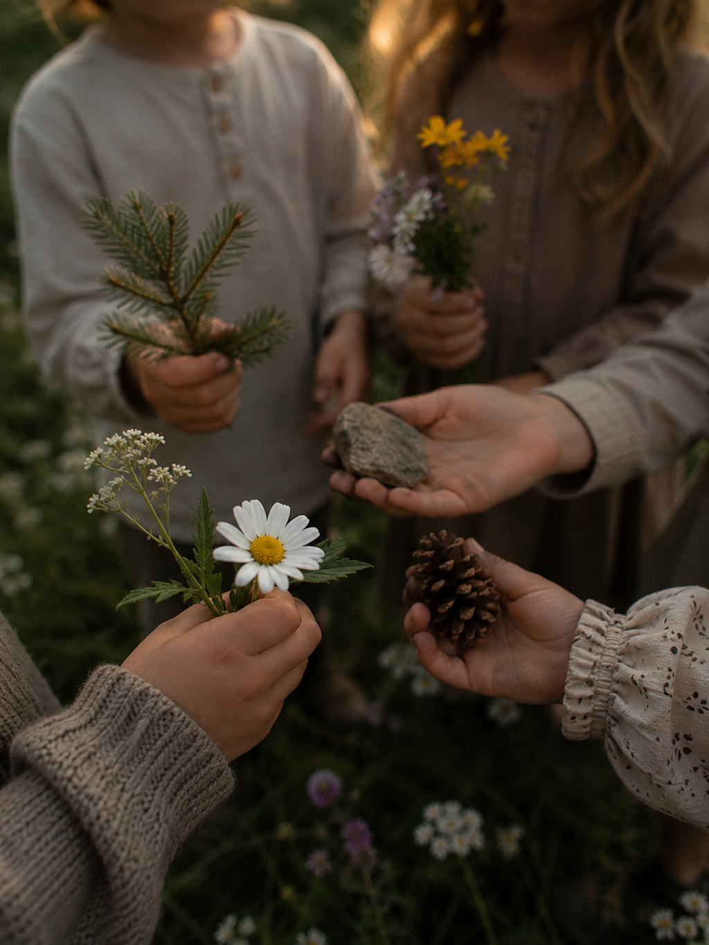 Sommaräventyret – Rädda Sommarkärnan