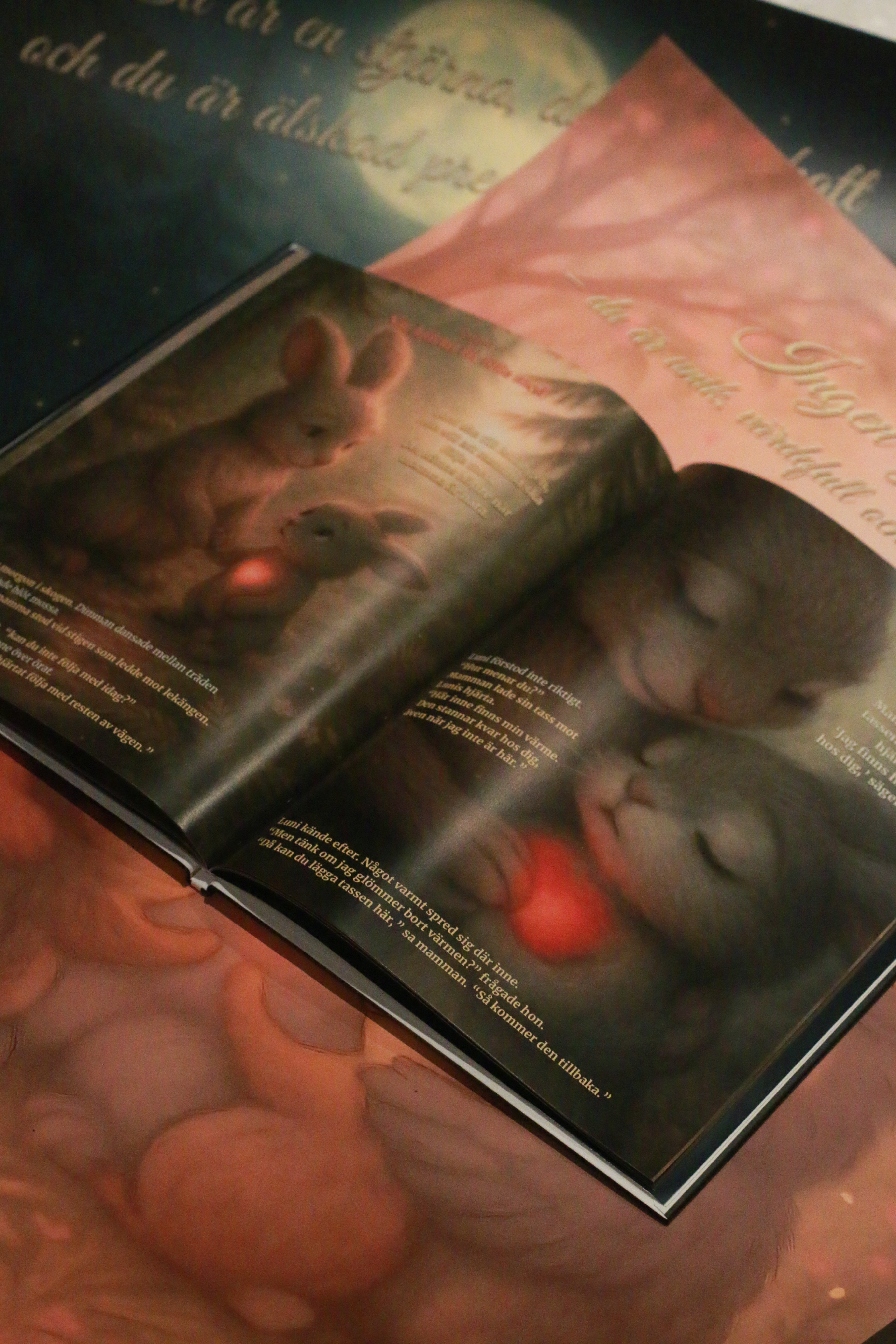 Boken - Luni och hjärtats alla färger